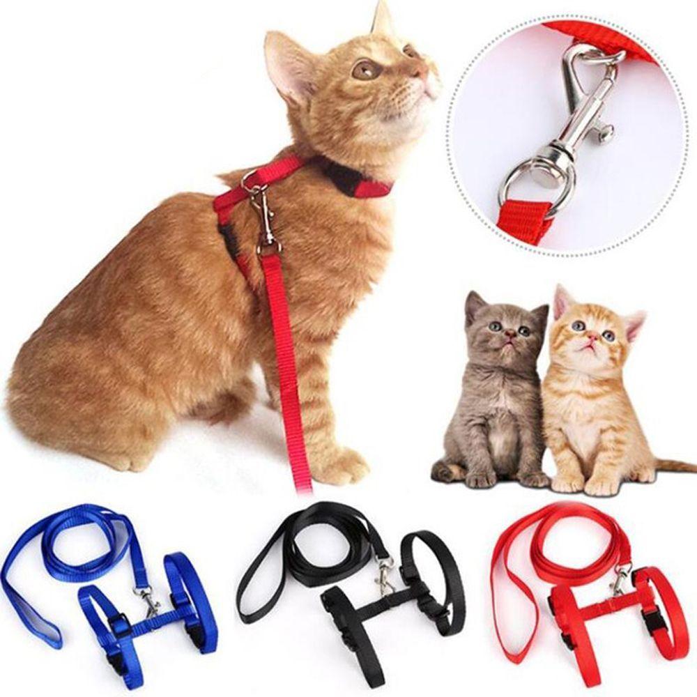 Pet Traction Training Cat Rope Cat Pet Rope Adjustable Cat Belt Nylon Harness Kitten Collar Rope