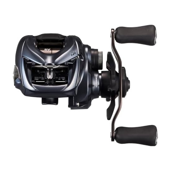 DAIWA Baitcasting Reel 25 TATULA SV TW 100XHL