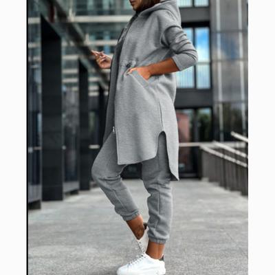 Женский модный повседневный флисовый костюм с капюшоном