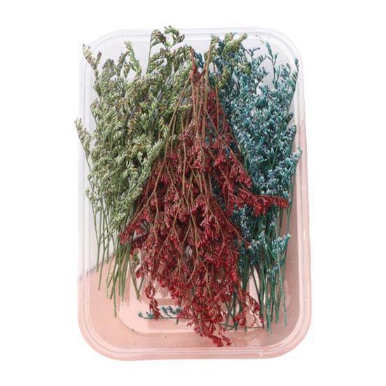 Набор сушеных цветов, настоящие натуральные цветы, сушеные цветы, сделай сам, вечные цветы, материал для ювелирных изделий ручной работы, поделки для ногтей