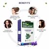 INDUS VALLEY Bio Organic Indigo & Red Henna Leaf Powder Combo for Natural Hair Colour, Grey Hair Coverage & Hair Care (100g x 2, Pack of 2)