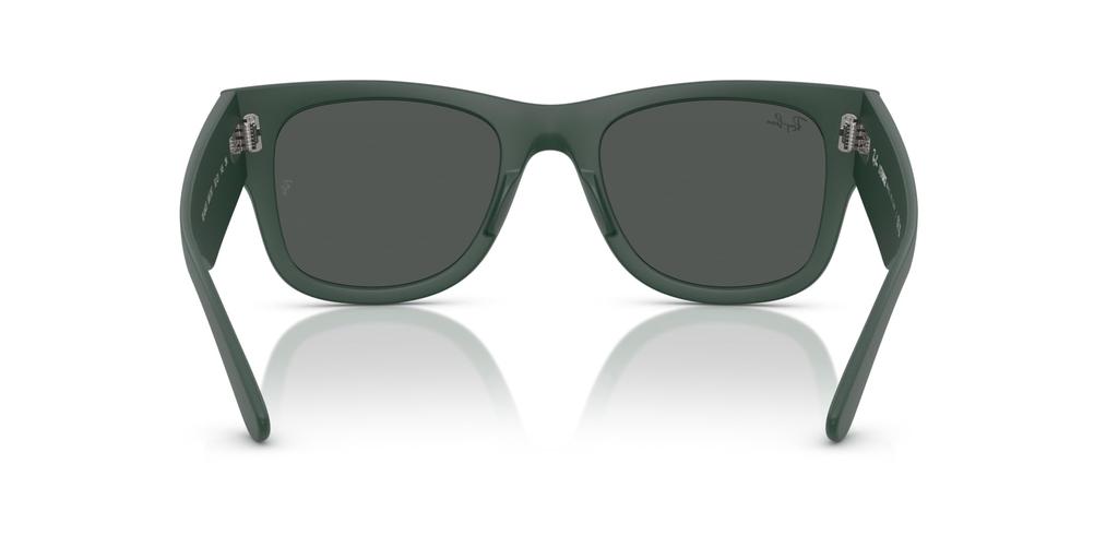 Солнцезащитные очки 0RB4840S ПЕСОЧНО-ЗЕЛЕНЫЙ 50 [Ray-Ban]