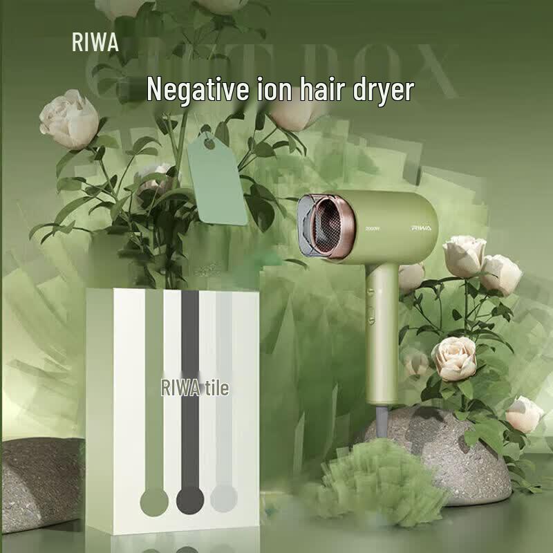 Rewa RC-7858 Negative Ion Hair Dryer CN plug (adapter included)