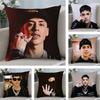Floyy Menor & Cris Mj Наволочка Плюшевая Ткань Мягкий Двусторонний Принт Чехол для Подушки Дивана Декоративные Наволочки