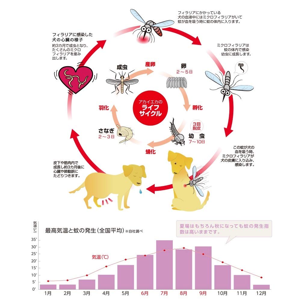 Earth Pet за москитную сетку на 130 дней для собак [квази-наркотики для животных]