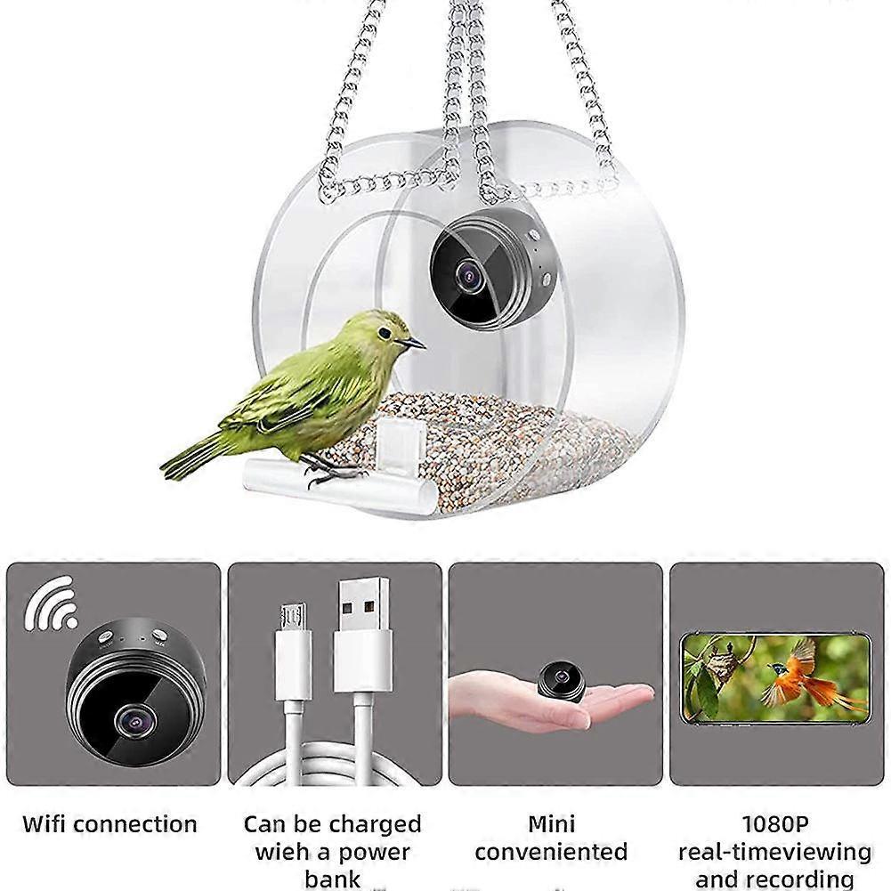 Clearance Now Smart Bird Feeder with Camera, 1080P Bird Watching Camera Auto Capture Videos&Motion Detection For Outdoor I Bird