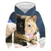 Autumn 3D Cat Pattern Printed Top Fashionable Casual Long Sleeved Children's Boy Hoodies