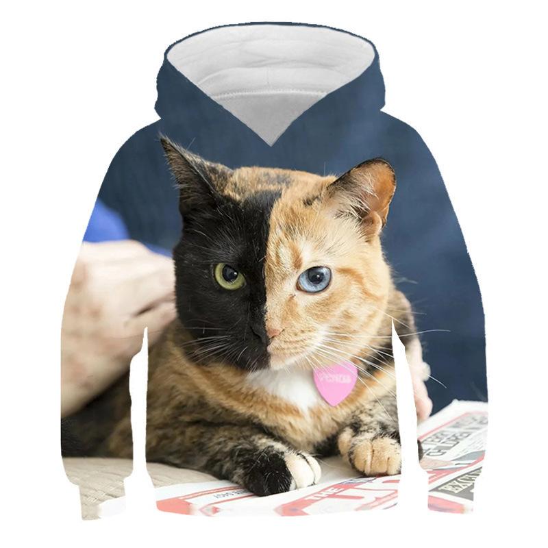 Autumn 3D Cat Pattern Printed Top Fashionable Casual Long Sleeved Children's Boy Hoodies