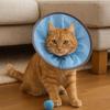 Anti Biting Pet Grooming Collar Waterproof Cat Protective Collar Small Dog Headgear For Cats Dogs