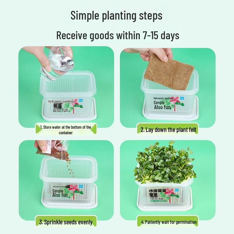 Children's Planting Kit: Hydroponic Vegetable & Radish Seedlings, Green Plants for Kindergartens, Seed Growth Observation for Primary Students