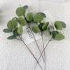 10pcs Direct Sales Simulated Eucalyptus Leaf Wedding Money Leaf Dining Table Flower Arrangement Artificial Eucalyptus Leaf Single Decorative
