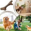 Creative Puppy Molar Toys Bone Shape Dog Interactive Toys Portable Dog Chew Stick  Pet Dental Care