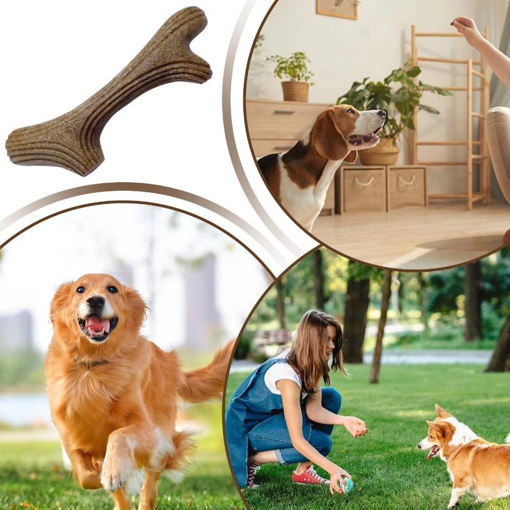 Creative Puppy Molar Toys Bone Shape Dog Interactive Toys Portable Dog Chew Stick Pet Dental Care