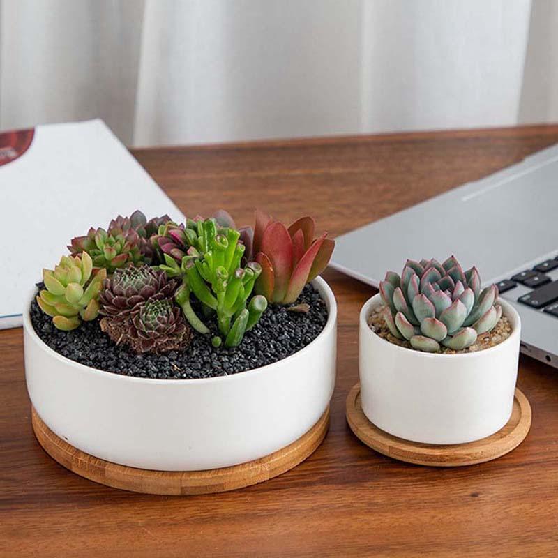 Подставка для цветочного горшка из бамбукового дерева, 10 стилей, креативный держатель для поддона для растений, домашний декор, мини-подставка для растений, подставка для суккулентов