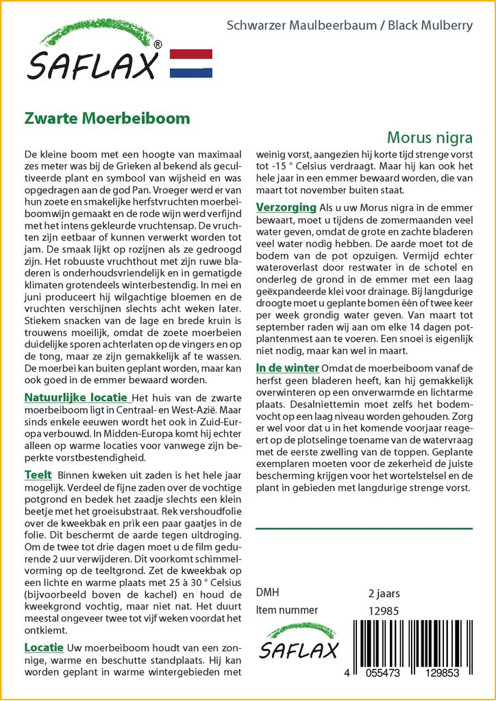 SAFLAX Подарочный набор - Черная шелковица - 200 семян - С подарочной коробкой, карточкой, этикеткой и субстратом для горшков - Morus nigra