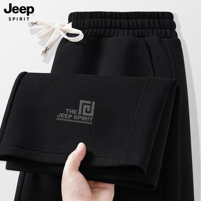 Мужские повседневные спортивные штаны свободного кроя JEEP SPIRIT