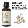 Эфирное масло немецкой ромашки | Чистое масло ромашки | Ароматическое использование