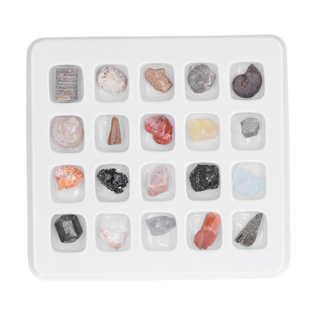 20 Kinds Crystal Gemstones Ornament Colorful Healing Chakra Gemstones for Kids Teacher Collector