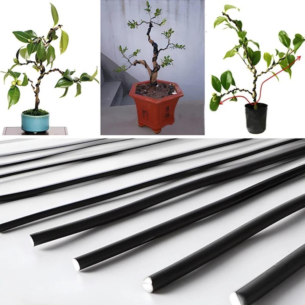 Aluminum Bonsai Wire 1/1.5/2/2.5/3mm Garden Accessories Black Bonsai Training Wire