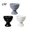 Succulents Plant Pot 3D Printed Lip-Shaped Flower Pot, Artistic Sculptural Planter with Matte Finish, Multifunctional Minimalist Desk Decor for Living
