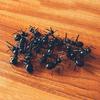 12Pcs/Set Creative Party Ants Series of Toothpicks Industrious Ants Fruit Fork
