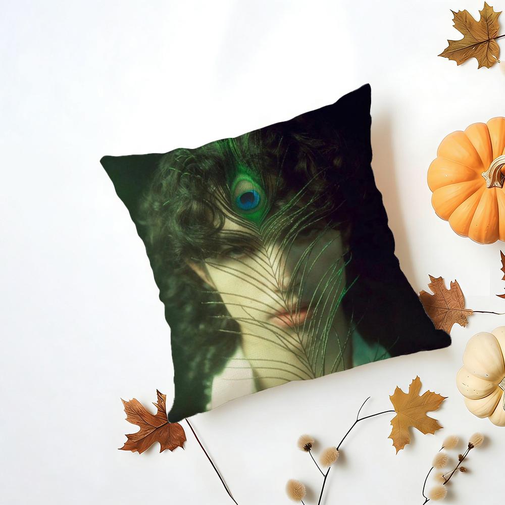 Conan Gray Holidays Cushion Cover Iceland Washable Linen Soft for Daily Sofa Bed Home Room Decor