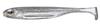 Fish Arrow Мягкая приманка Flash J Shad SW 1 дюйм 5 шт в упаковке 100 (4736)