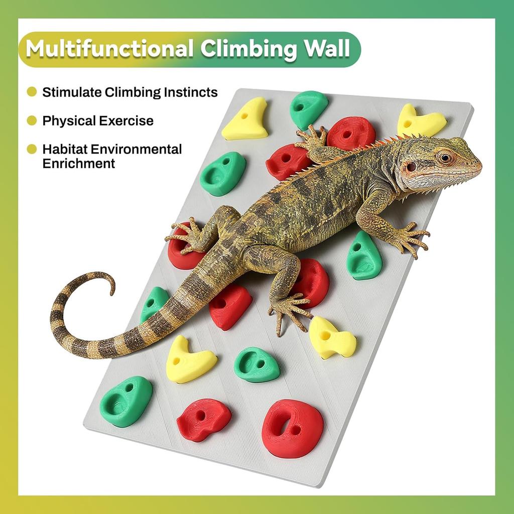 Climbing Wall for Reptiles, Reptile Tank Terrarium Accessories Habitat Decor for Bearded Dragons, Leopard Geckos, Lizards, Snakes, Tree Frogs,