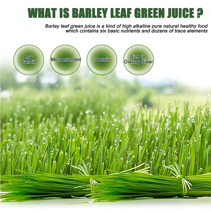 Organic Barley Powder 100% Pure and Natural, No Additives and Preservatives Pure, Kosher, Vegan, Bulk. Good Source of Fiber, Protein