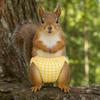 Breathable Pet Menstruation Diaper Elasticity Small Pet Diapers Soft Squirrel Underwear  Rat