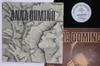 12-дюймовая пластинка ANNA DOMINO Rhythm Sixteen Tons Half Of Mys 12TWI520 LES DISQUES DU 1985 Бельгия Рок Б/у