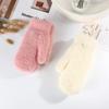 Simple Plush Girl Gloves Warm Hand Guard Adult Gloves High Value Solid Color Mink Gloves