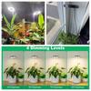 Xiaomi Plant Grow Light LED Growing Lamp Full Spectrum for Indoor Plants Height Adjustable Auto Timer 5V Idea for Small Plant Light