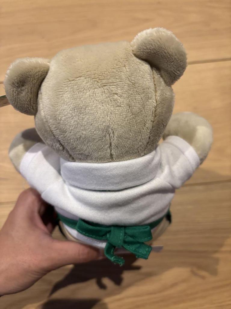 [USED] Starbucks Hong Kong Exclusive Bearista Cute Teddy Bear Popular