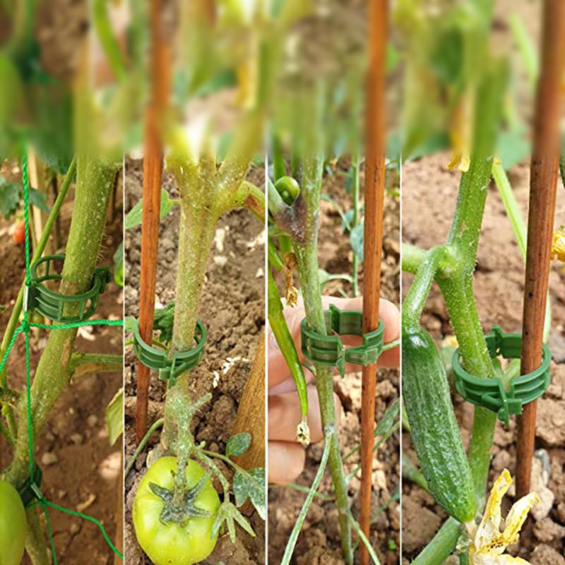 100 шт., зажимы для растений, пряжка, крючок, пластиковые опоры, соединяет многоразовый держатель, садовые принадлежности для овощей, помидоров