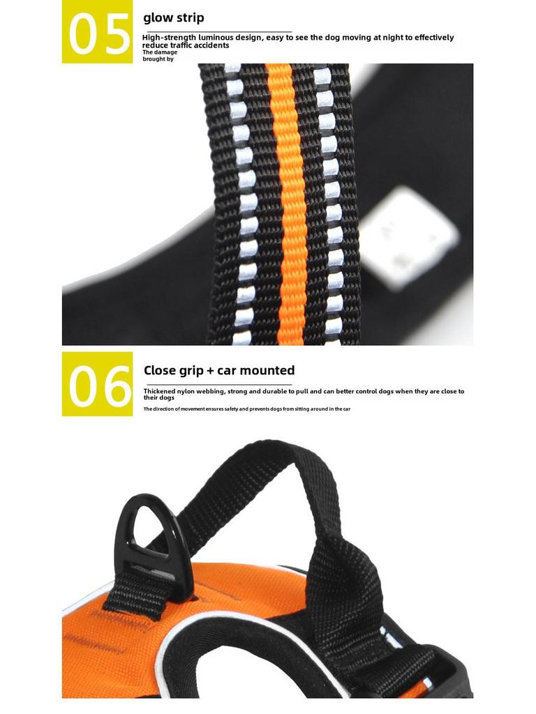 Светоотражающая двухслойная шлейка для собаки и комплект поводка с ошейником на пряжке