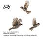 Home Decor Bird Sculpture 3 Pcs Rustic Wall Art Farmhouse Wooden Flying Birds 3D Hanging for Living Room Bedroom Kitchen Office Artistic