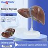 PVC Material