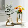 Nordic Vase Hydroponic Gold Home Decorations Modern Glass Dried Flower Pot Ornament Small Vases Room Decor Interior Accessories