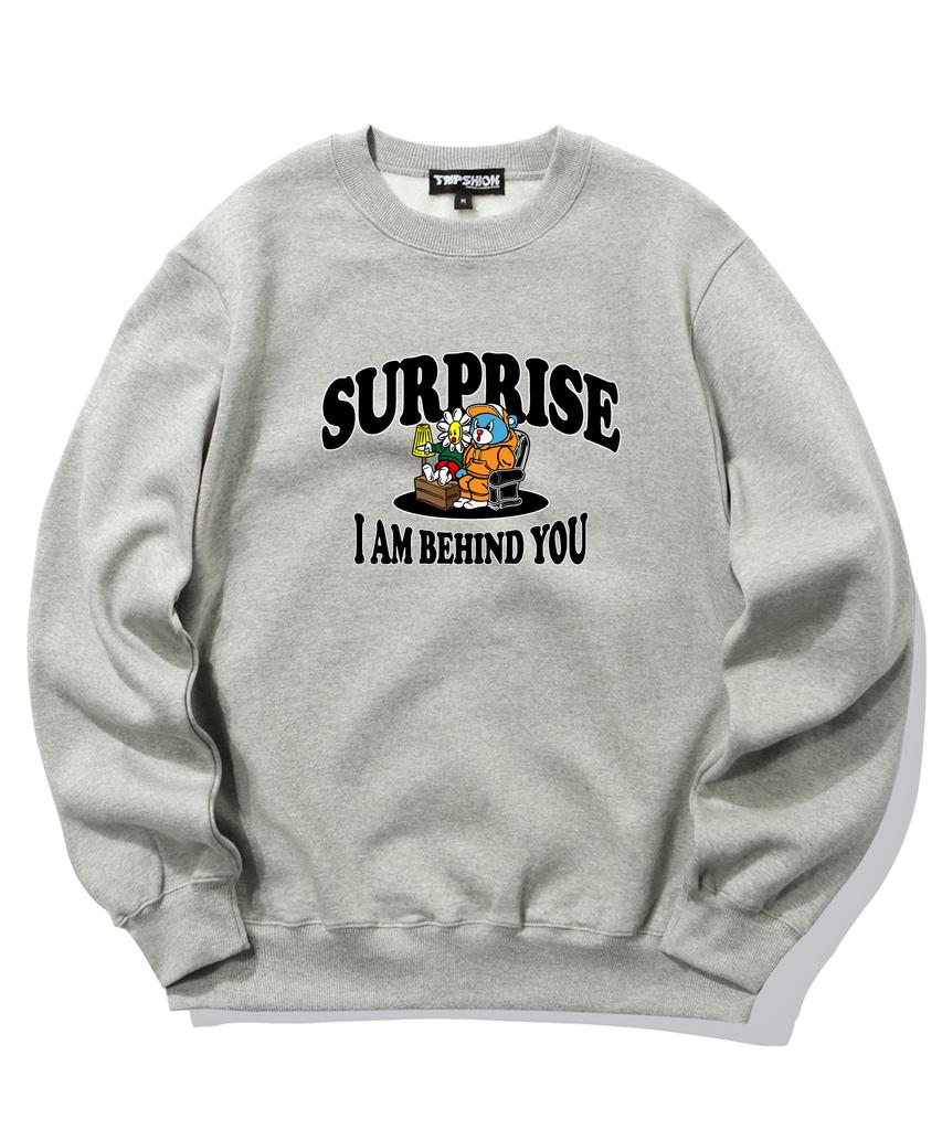 TRIPSHION Surprise Duo Графический свитшот с круглым вырезом - Серый