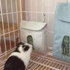 Feeder Bag Hamster for Hay Feeding Bags Guinea Pig for Hay Storage Sacks Hanging for Small Animals Rabbits Bite-Resistan