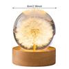 Cute Night Light with Woodern Base Forever Flowers Crystal Ball Light Office Home Decor Gifts for Men Women Kids Boys Girls