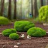 2/4/6/10PCS Flocking Foam Artificial Moss Rocks Micro Landscape Miniature Figurine  Landscape Making