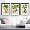 Декоративная картина на холсте в американском стиле для гостиной, картины с цветами, птицами и растениями, постеры для ресторана
