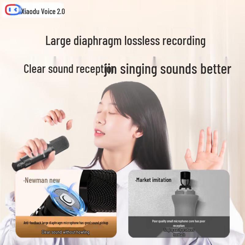 Беспроводная Bluetooth-система караоке-динамиков Newmine M18 с двумя микрофонами, штекер CN (адаптер в комплекте)