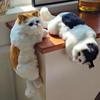 Furry Simulation Cat Hanging Ornament Realistic Fake Cat Model  for Desktop Decor