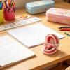 Gifts for Dental Students Funny Teeth Shaped Mini Stapler, Cute Mold Paper Dentist Office Supplies Fastener, Creative Binding Tool Dentists