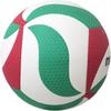 Molten Freestyle Lightweight Volleyball V4M5000-L  Size 5, Durable, Indoor/Outdoor Use