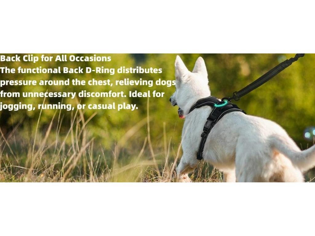 Нейлоновая шлейка для груди и поводок для крупных питомцев