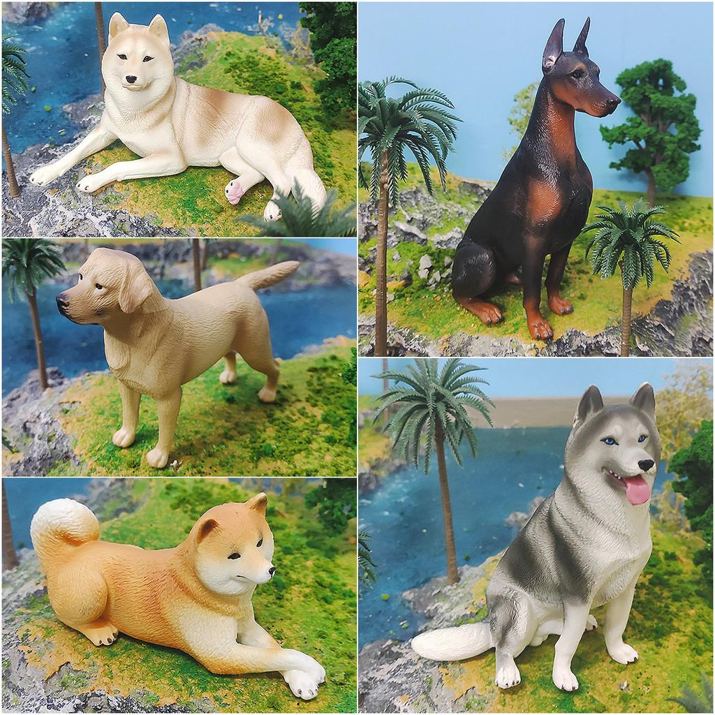 Childrens Pvc Animal Dog Model Set With Static Realistic Dog Figures For Educational Display And Play